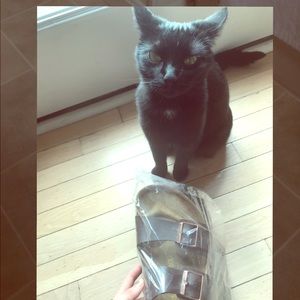 *NEW* Men’s Birkenstocks